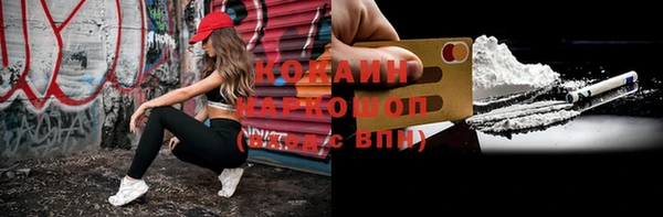 шишки Белокуриха