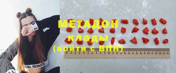 шишки Белокуриха