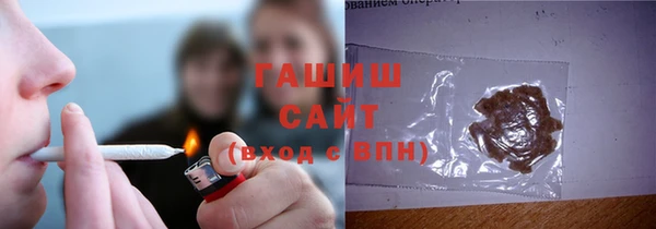шишки Белокуриха