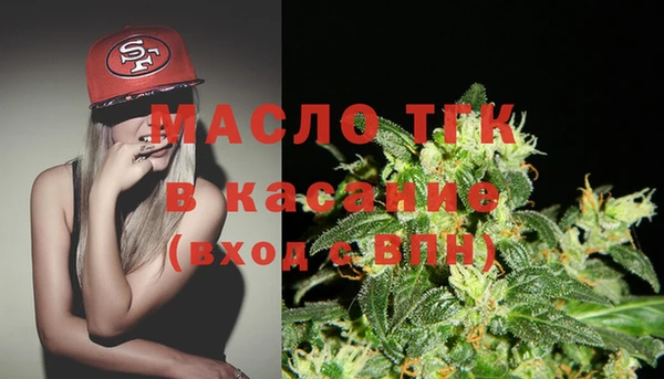 шишки Белокуриха