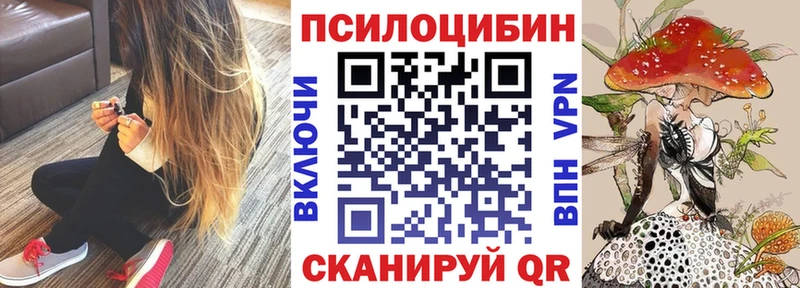 Галлюциногенные грибы GOLDEN TEACHER  как найти закладки  Михайлов 